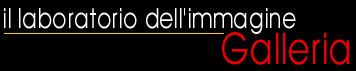 il laboratorio dell' immagine